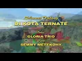Download Lagu Momaso maso pulau ternate