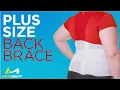 BraceAbility Plus Size Bariatric Back Brace