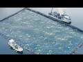 Download Lagu Inside Japanese Giant Fish Farms and Harvesting Process