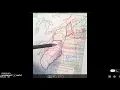 13 Colonies Memory Device