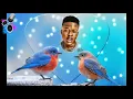 Nasty c SMA ft Rowlene lyrics