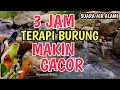 Download Lagu MAKIN GACOR‼️ 3 Jam Suara Air Alami - Terapi Burung Macet Bunyi atau Stres