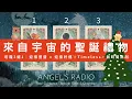Lagu 宇宙要送你的聖誕禮物＆好運🎄顯化你心中的願望 🎁 迎接豐盛 x 擁抱好運｜塔羅占卜｜3選1・大眾占卜｜能量指引｜✨Timeless🐈‍⬛無時間限制