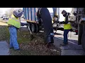 Livonia DPW Leaf Pickup Program