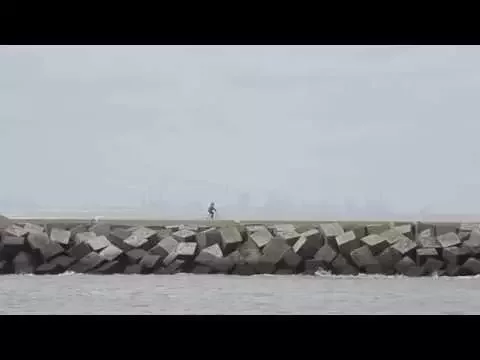 MENJEK/MARADJAK: A holland epizód Trailer (ENG subs)