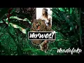 Tez Cadey - Sev | Paradisia 2019 (SFK Remix)
