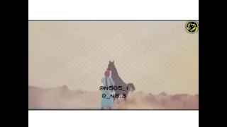 قبيلة الحباب 