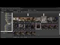 Digital Photo Professional 4 batch convert