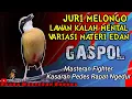Download Lagu MASTERAN TERBAIK BURUNG FIGHTER❗BURUNG FULL ISIAN TEMBAKAN RAPAT - Untuk Murai batu cucak ijo Kacer