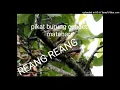 Download Lagu SUARA PIKAT BURUNG CENDET MATAHARI / REANG REANG