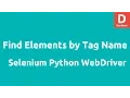Python WebDriver find - element