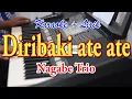 Download Lagu DIRIBAKI ATE ATE [KARAOKE] NAGABE TRIO