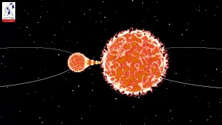 نظرية النجم العابر 