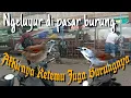 Download Lagu Burung Tepus pipi perak,Crescen-chested babbler