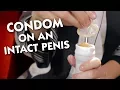Download Lagu How to Put a Condom on an Intact Penis