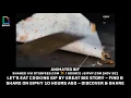 LetS Eat Cooking GIF by Great Big Story