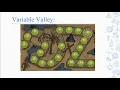 CodeMonkey Coding Adventure Part 1 - Lesson 9 Variable Valley