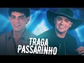 Download Lagu Traga passarinho - Adelino Nascimento - [VERSÃO NATANZINHO LIMA] @QUALITYREMIXX