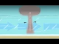 Dr Beach Rip Currents