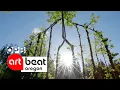 Shaping trees to make living art Oregon Art Beat