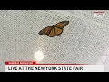 Download Lagu Live from the New York State Fair