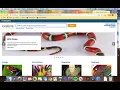 Explora for Middle School Tutorial