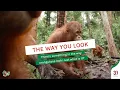 Download Lagu THE WAY YOU LOOK!