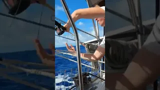 #realfishing #oceanfishing