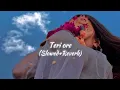 Teri ore (Slowed+Reverb) Rahat Fateh Ali Khan| Shreya Ghoshal