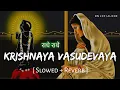 Download Lagu Krishnaya Vasudevaya Lofi (Slowed + Reverb) Krishna Mantra | 108 Times | RN Lofi Alone