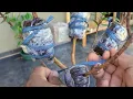 Download Lagu How to air layer Red Eugena Christina Red propagation  #gardeningisfun #gardeningtips ##airlayering 