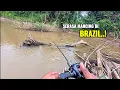 Lagu Spot ini serasa Mancing di negara BRAZIL..! Ganas nya ikan predator ompong yang sangat kelaparan.
