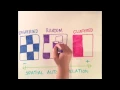 Lesson 1 - Part 1 Spatial Autocorrelation