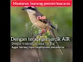 Download Lagu masteran cendet macan/ cendet monyet sped rapat tembak.