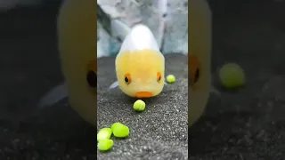 سمكة لطيفة Nice Fish 