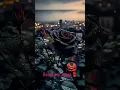 Download Lagu 🌺 flower status, whatsapp dp, beautiful flower wallpaper, dp status,wallpaper status,wallpaper photo