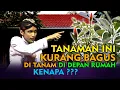 Download Lagu Ilmu Jawa Tanam Di Depan Rumah, Bagusnya Ini ? || Ngaji Bareng Gus Ulinnuha Cilacap