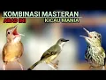 Download Lagu MASTERAN KOMBINASI || KAPAS TEMBAK -CIBLEK -SIRI-SIRI