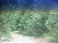 long bumpy road