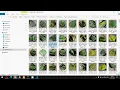 Plant Disease Detection and Classification by Deep Learning Deep Learning Flask Python