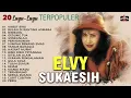 Download Lagu 20 Lagu Lagu Terpopuler Elvy Sukaesih