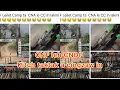 Download Lagu #246 CNF leh CNDF kituh taktak ihtel leh Zogam tulai buaina a thei ding hita hiteh