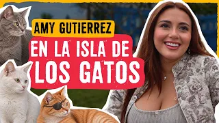 QUIERO DECIRTE QUE ERES UNA LINDA PERSONA: AMY GUTIERREZ EN LA ISLA DE LOS GATOS. LA PUNTA, CALLAO