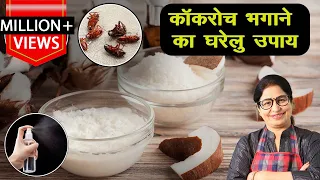 कॉकरोच को जड़ से खत्म करने के घरेलु उपाय | Home Remedies to Get Rid of Cockroaches | Tips & Tricks