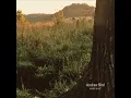 Andrew Bird - Effigy