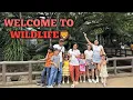 Download Lagu IPINASYAL KO ANG MGA PINSAN KO SA ALBAY PARK AND WILDLIFE
