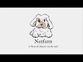 Netfarm a distributed multi user object system