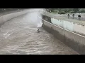 LA River Rescue Caught on Camera - Studio City