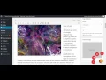 Floating Action Button
