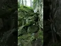 DARKTHRONE - CARAVAN OF BROKEN GHOSTS - lyric video (taken from Astral Fortress)